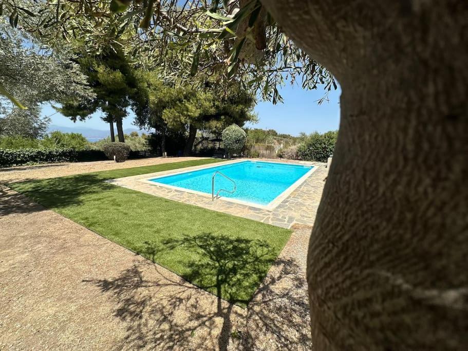 Villa Terrina Agioi Apostoloi  Exteriér fotografie